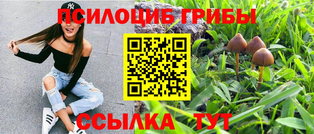 Псилоцибиновые грибы Magic Shrooms  Вход с VPN  Гусь-Хрустальный 